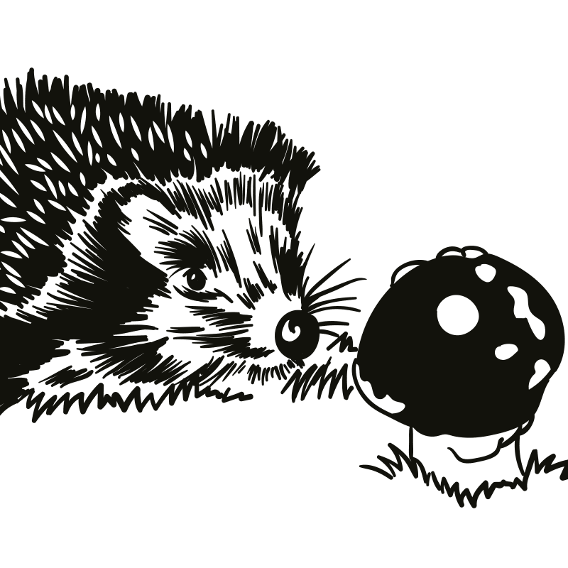 Vektorgrafik von Igel Porcupine Herbst