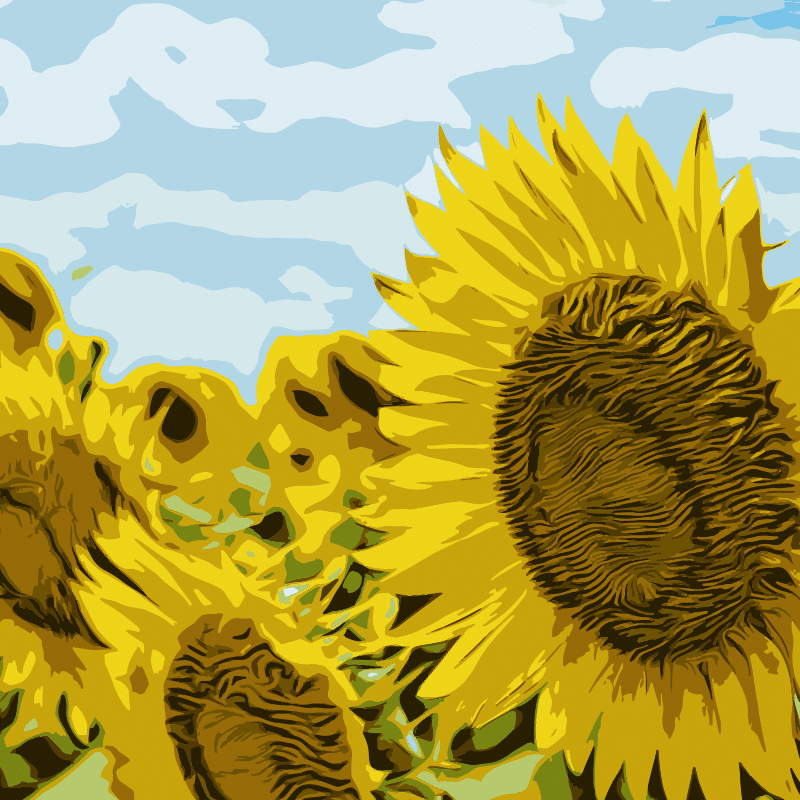 Vektorgrafik von Sunflowers